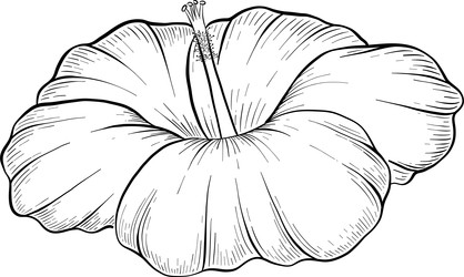 Similar image 22475130