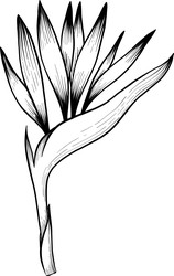 Similar image 22475135