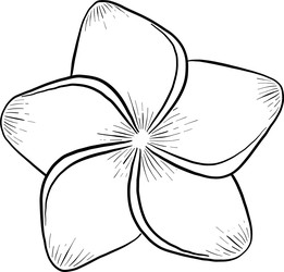 Similar image 22475138