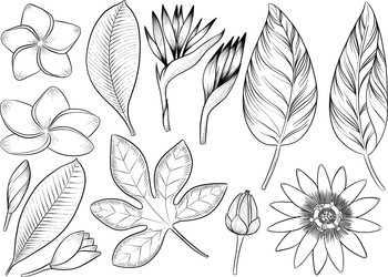 Similar image 22475142