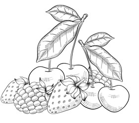 Similar image 22475145