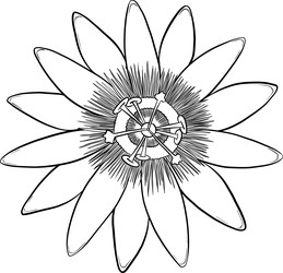 Similar image 22475147