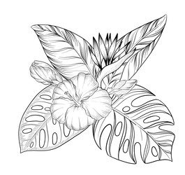 Similar image 22475148