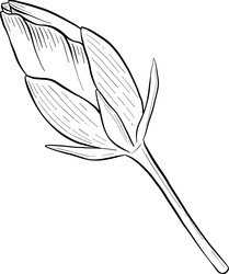 Similar image 22475151