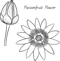 Similar image 22475152