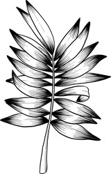 Similar image 22475157