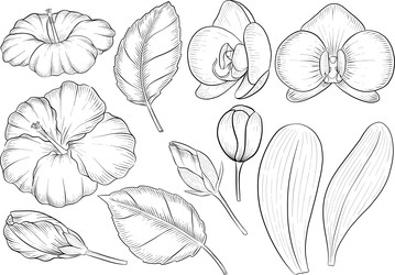 Similar image 22475161