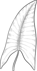 Similar image 22475163