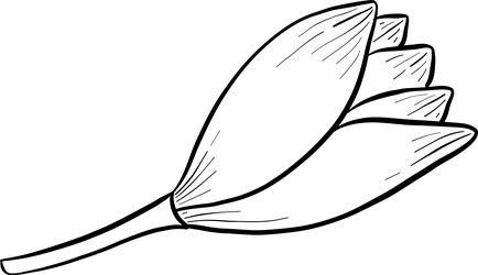 Similar image 22475166