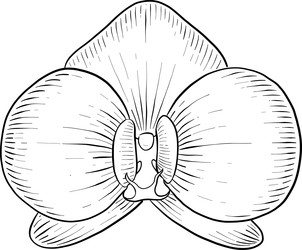 Similar image 22475168