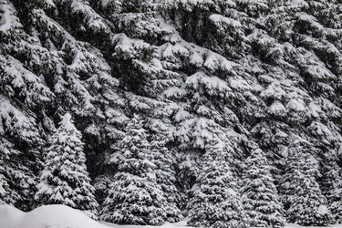 Similar image 22475542