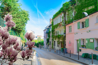 Similar image 22475908