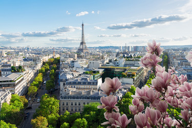 Similar image 22475933