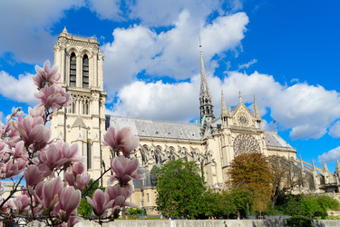 Similar image 22475934