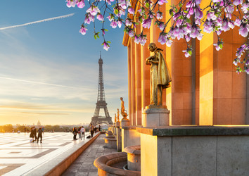 Similar image 22475941