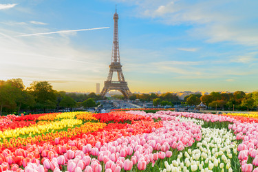 Similar image 22475942