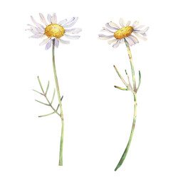 Similar image 22476389