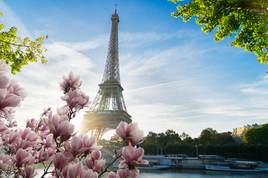 Similar image 22475945