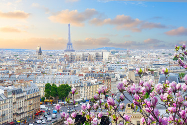 Similar image 22475951