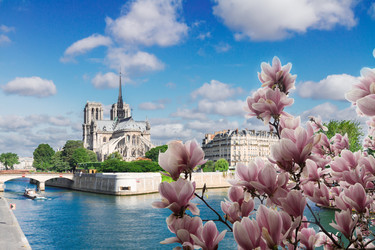 Similar image 22475953