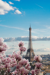 Similar image 22475954