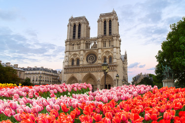 Similar image 22475955