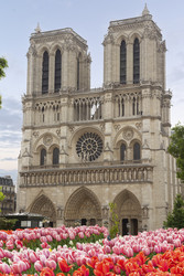 Similar image 22475957