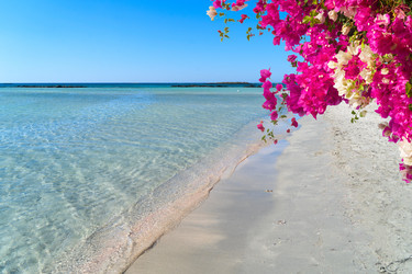 Similar image 22475981