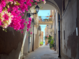 Similar image 22475820