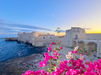 Similar image 22475848