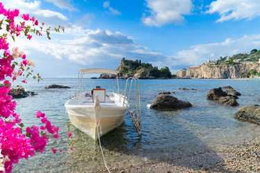 Similar image 22475862