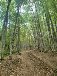 Similar image 22474806