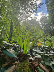 Similar image 22474811