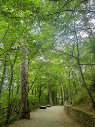 Similar image 22474814