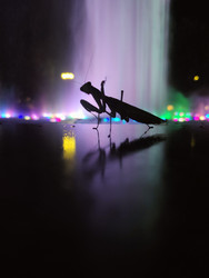 Similar image 22474816