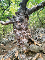 Similar image 22474817