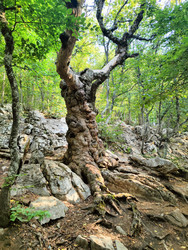 Similar image 22474819