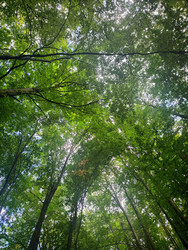 Similar image 22474822