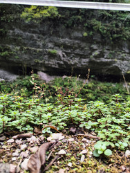 Similar image 22474832