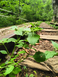 Similar image 22474833