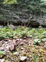 Similar image 22474834