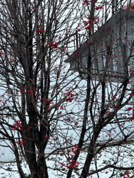 Similar image 22475230