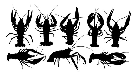 Similar image 22476457