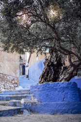 Similar image 22477429