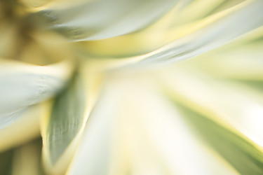 Similar image 22477442