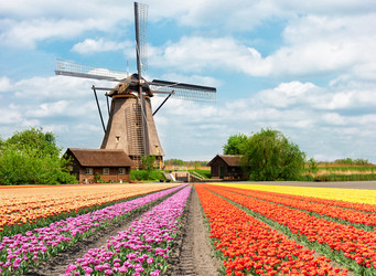 Similar image 22475800