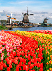 Similar image 22475810