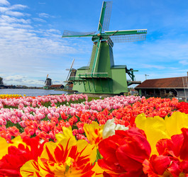 Similar image 22475812