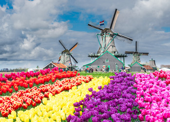 Similar image 22475814