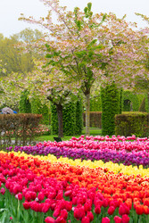 Similar image 22475825